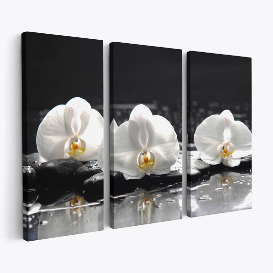 Triptych Canvas Prints - Orchids