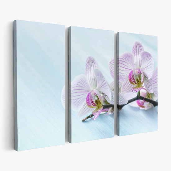 Triptych Canvas Prints - Orchids