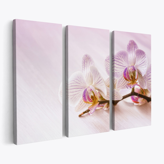 Triptych Canvas Prints - Orchids