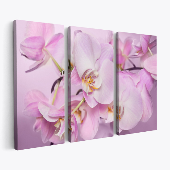 Triptych Canvas Prints - Orchids