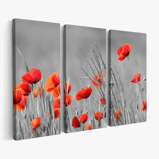 Triptych Canvas Prints - Poppies