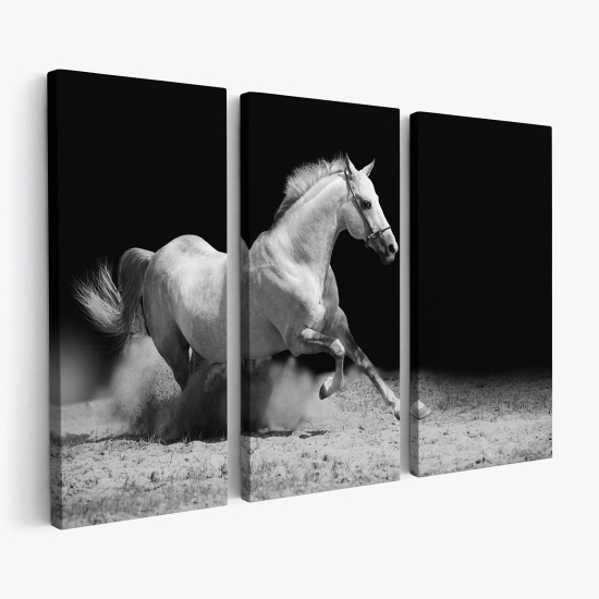 Triptych Canvas Prints - White horse