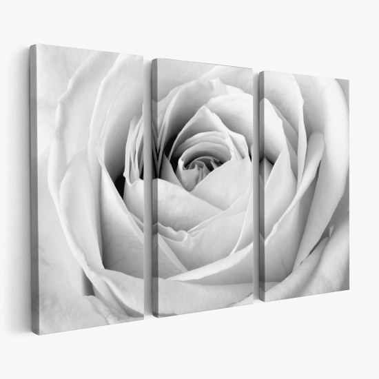 Triptych Canvas Prints - White Rose