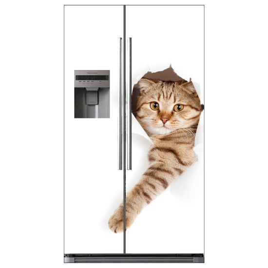 American Fridge Stickers - Cat