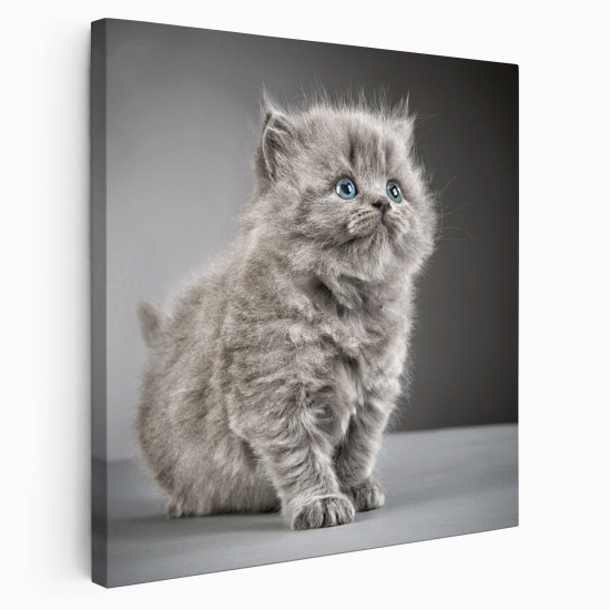 Canvas Print - Cat