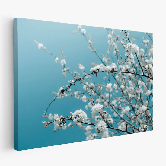 Canvas Print - Cherry Blossoms