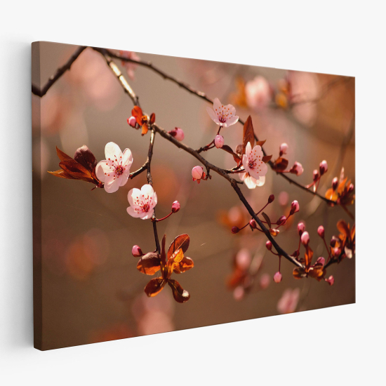 Canvas Print - Cherry Blossoms