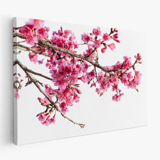 Canvas Print - Cherry Blossoms