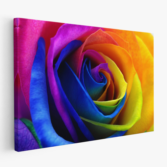 Canvas Print - Colored rose