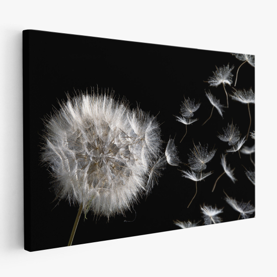 Canvas Print - Dandelion