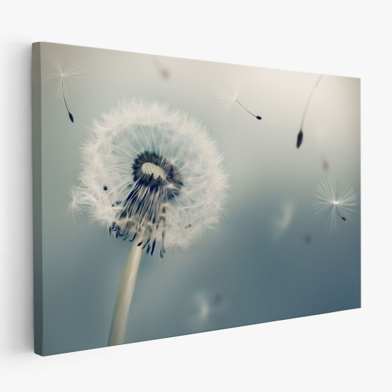 Canvas Print - Dandelion