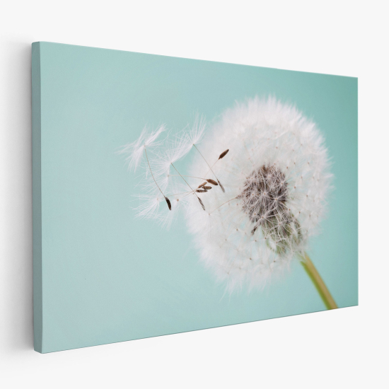 Canvas Print - Dandelion