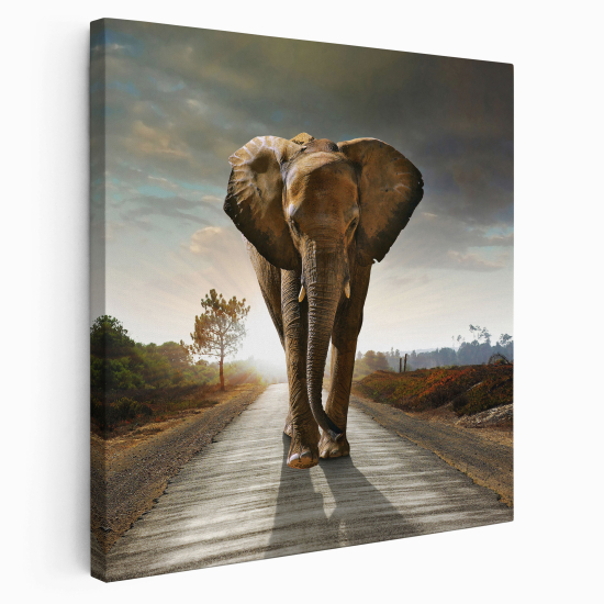 Canvas Print - Elephant