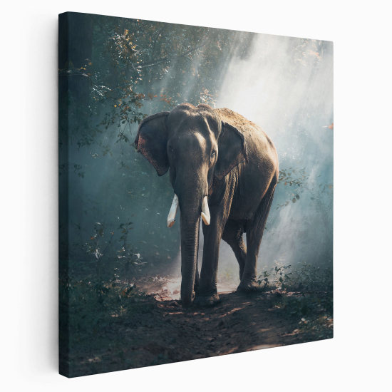 Canvas Print - Elephant