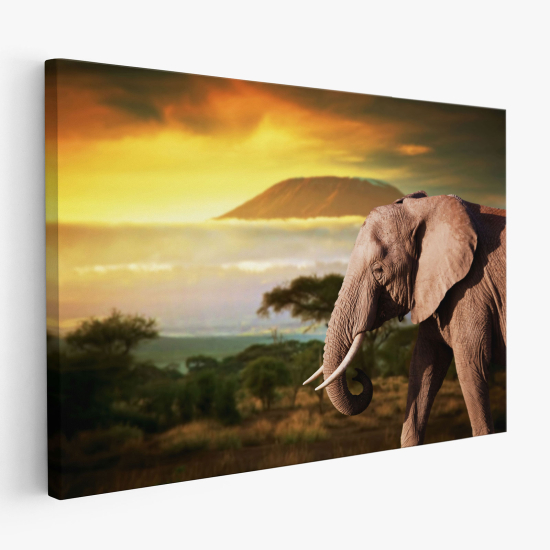 Canvas Print - Elephant