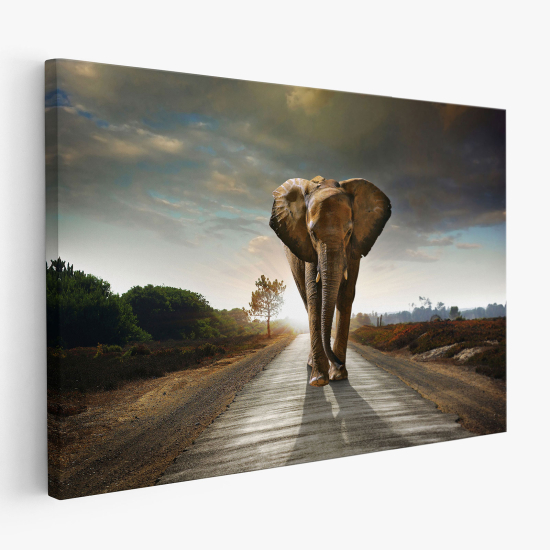 Canvas Print - Elephant