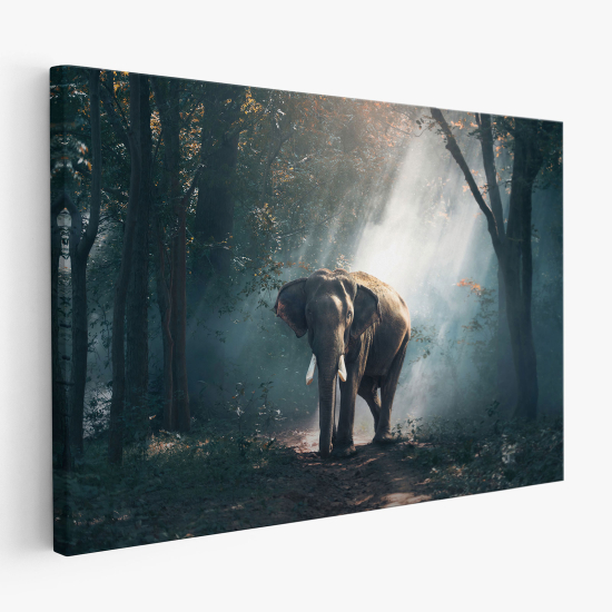 Canvas Print - Elephant