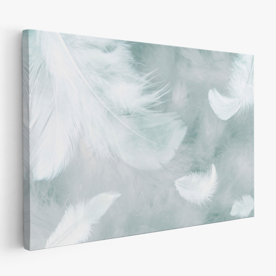 Canvas Print - Feathers