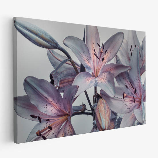 Canvas Print - Flowers