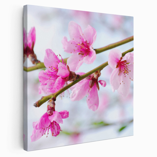 Canvas Print - Flowers