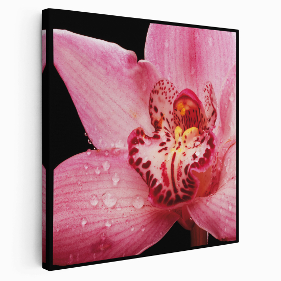 Canvas Print - Flowers