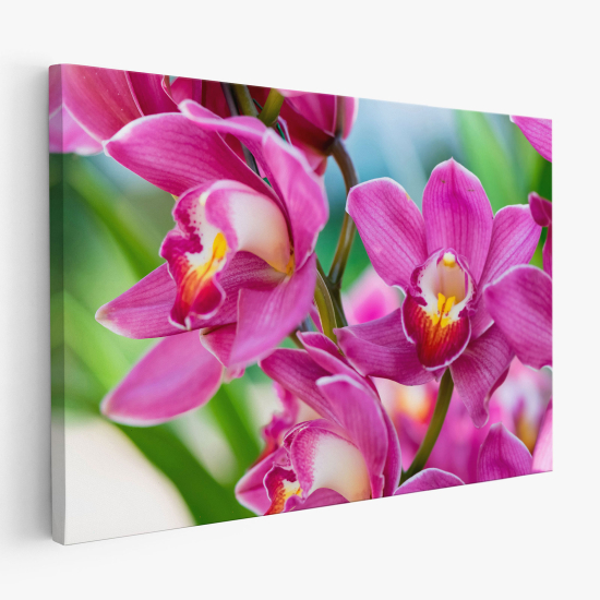 Canvas Print - Flowers