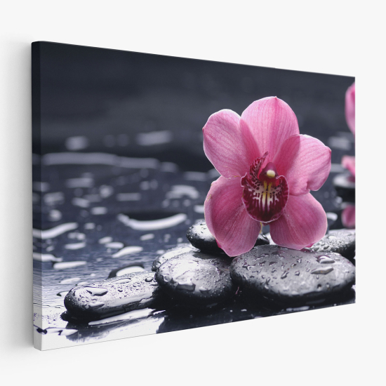 Canvas Print - Flowers pebbles