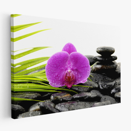 Canvas Print - Flowers Pebbles