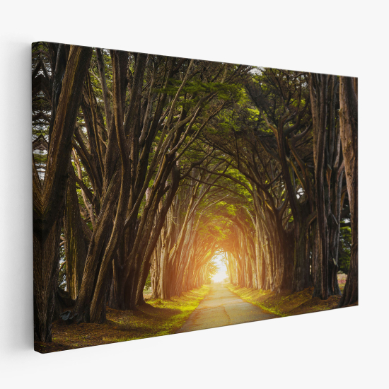 Canvas Print - Forest