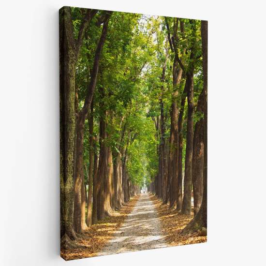 Canvas Print - Forest path