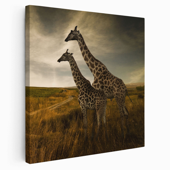 Canvas Print - Giraffes