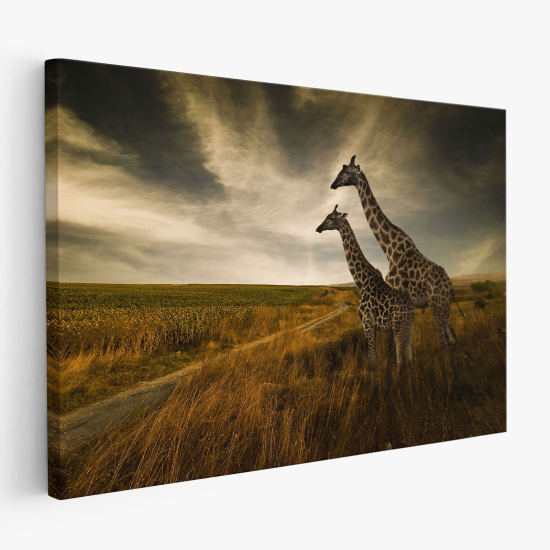 Canvas Print - Giraffes