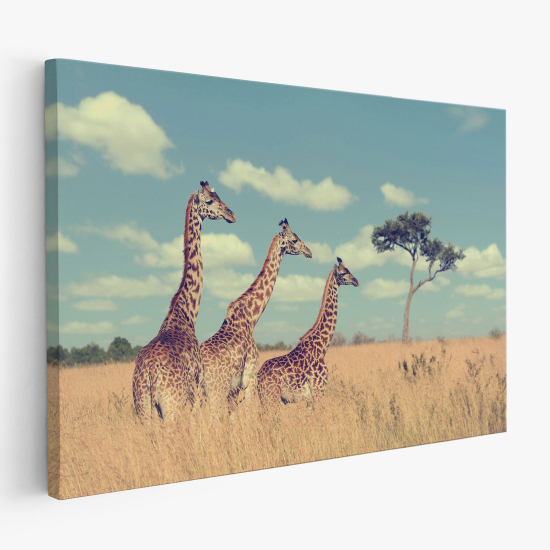 Canvas Print - Giraffes