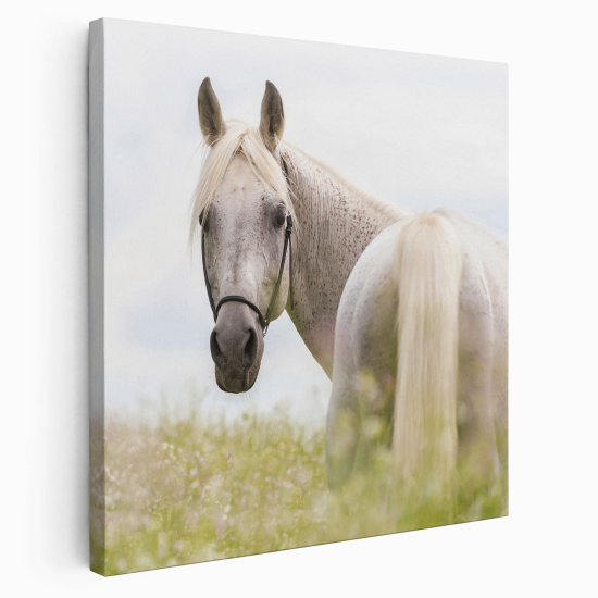 Canvas Print - Horse