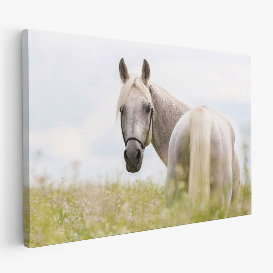 Canvas Print - Horse