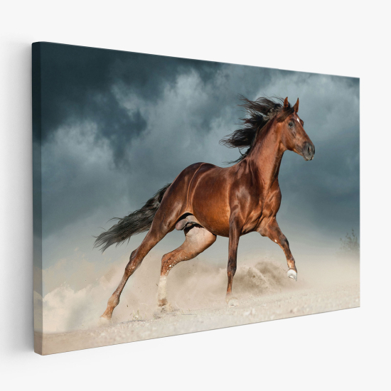 Canvas Print - Horse