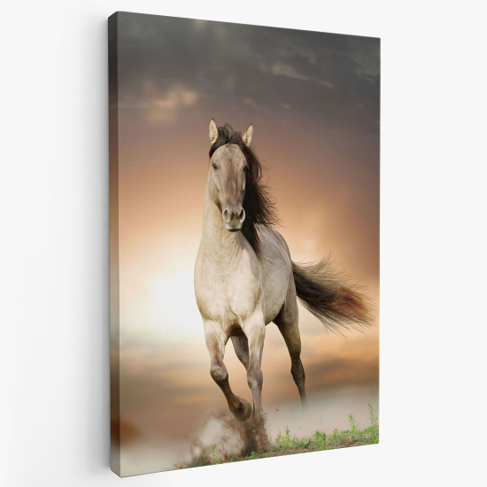 Canvas Print - Horse