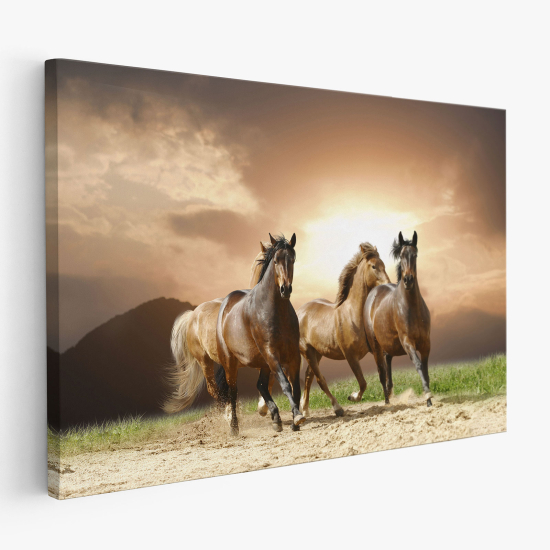 Canvas Print - Horses