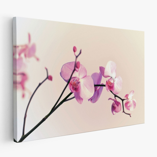 Canvas Print - Orchids