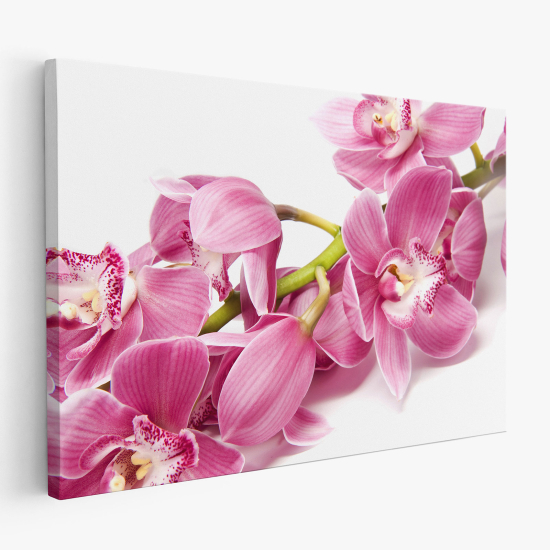 Canvas Print - Orchids