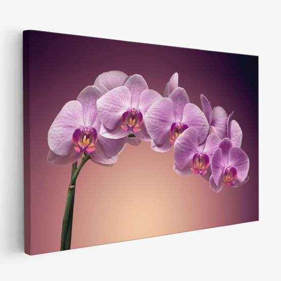 Canvas Print - Orchids