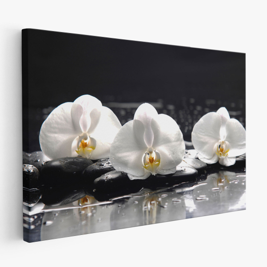 Canvas Print - Orchids