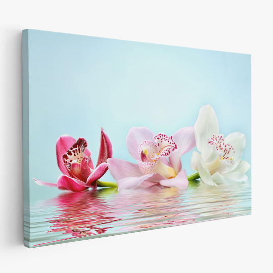 Canvas Print - Orchids