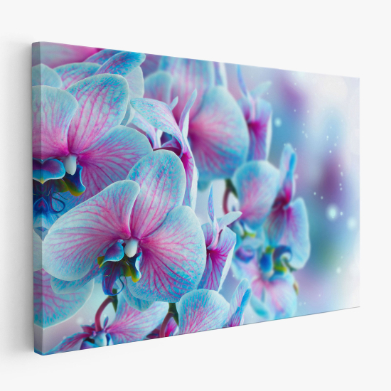 Canvas Print - Orchids