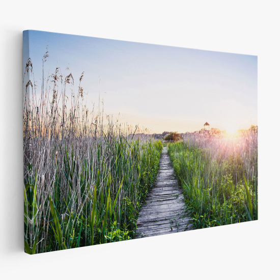 Canvas Print - Path in nature