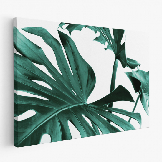 Canvas Print - Tropical Monstera Leaves