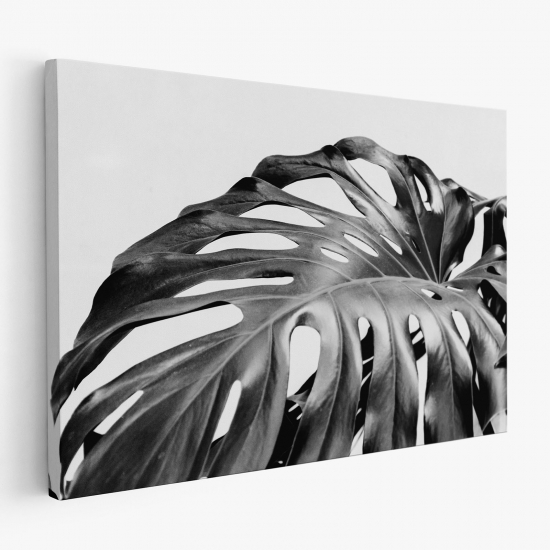 Canvas Print - Tropical Monstera Leaves