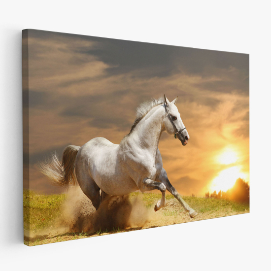 Canvas Print - White horse