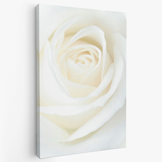 Canvas Print - White Rose