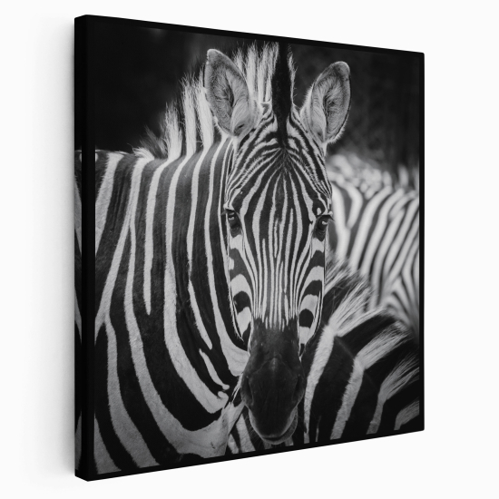 Canvas Print - Zebras